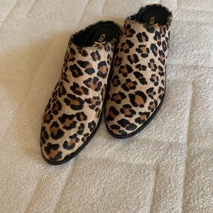 Leopard Print  Mules, Size 6